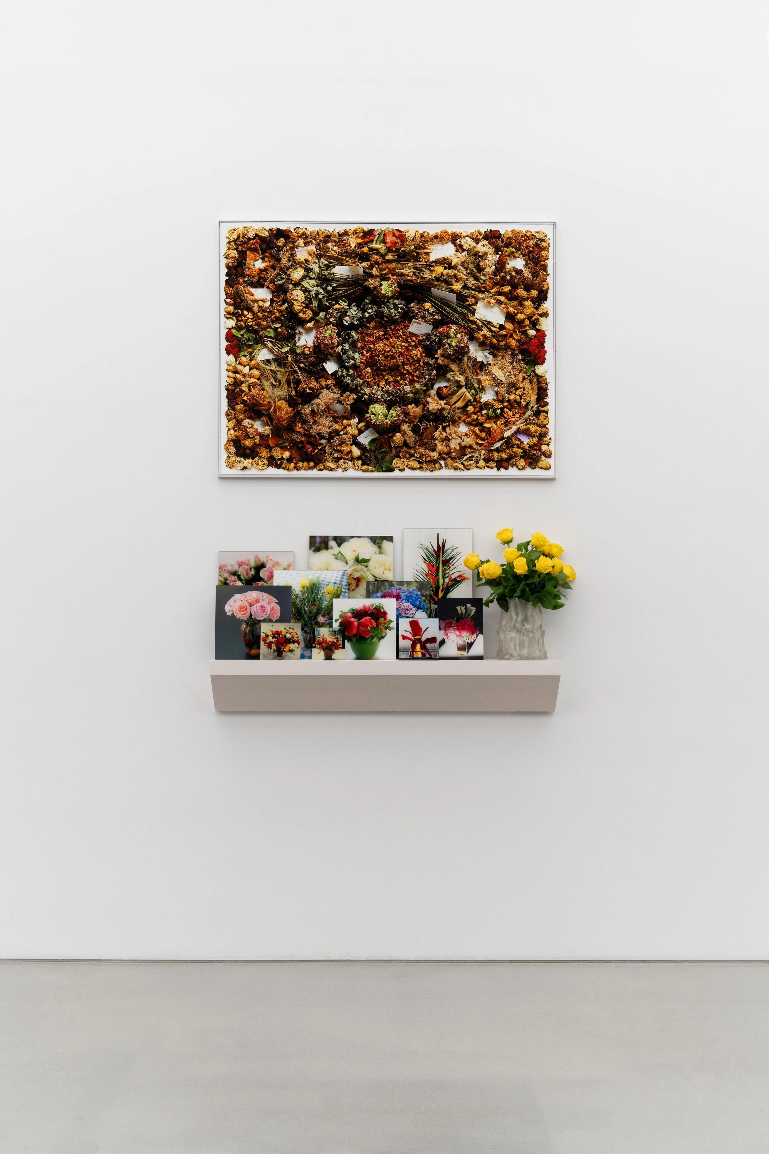 Sophie Calle: Behind the Curtain | Perrotin New York — Musée Magazine